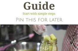Canning for Beginners: Everything You Need to Start Safely at Home