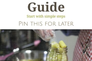 Canning for Beginners: Everything You Need to Start Safely at Home