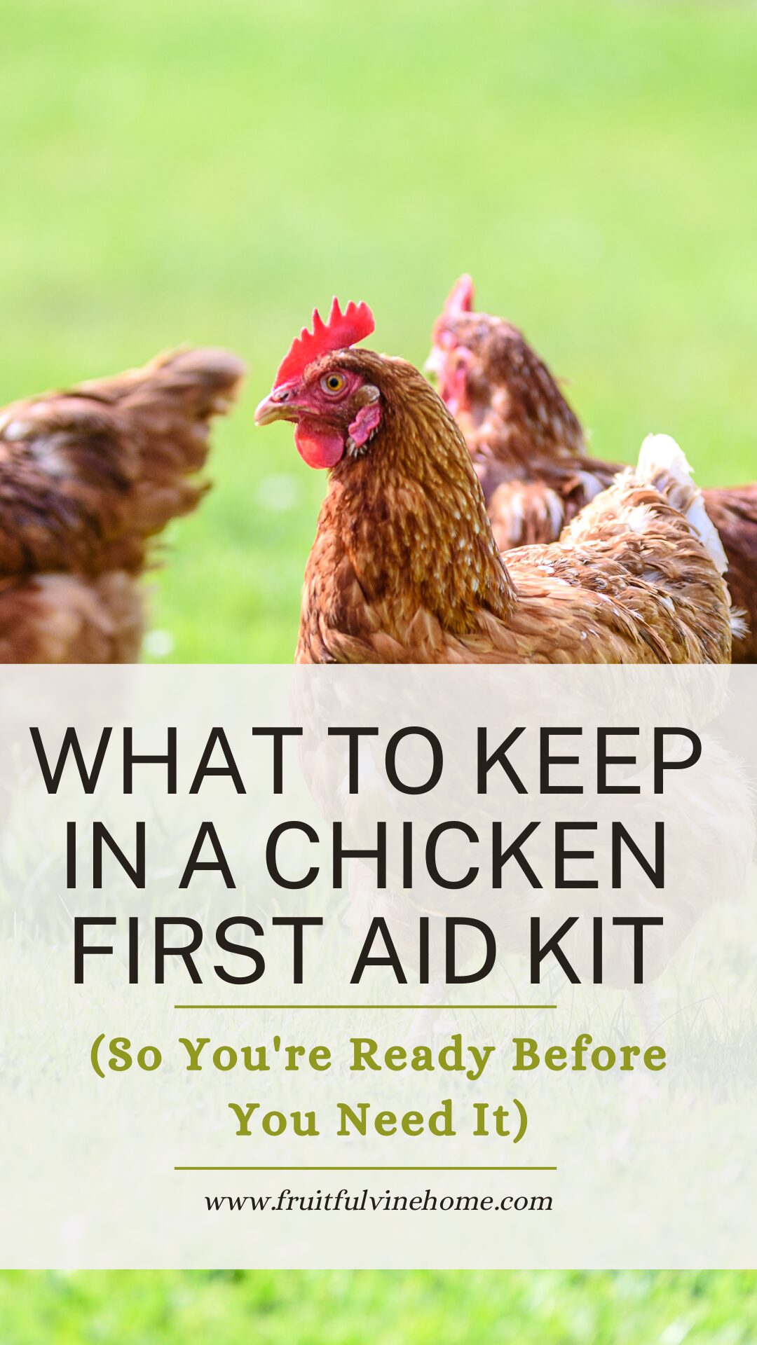 what to keep in a chicken first aid kit
