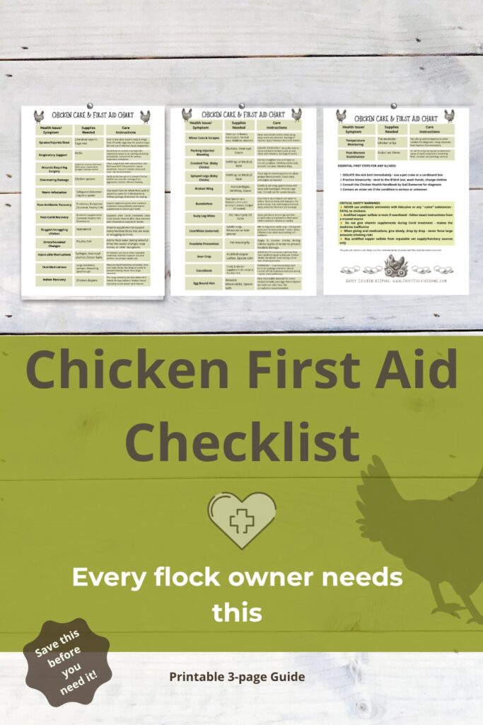 4 Chicken first Aid Checklist